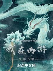 金牌律师简介