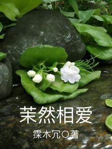 风流妙手小村医全部章节