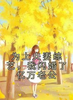 紫鼎仙缘完整版