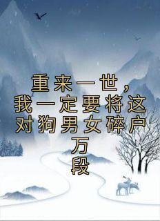 塞北风云纪