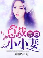 城里的魔法师好看吗