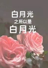 蒸汽时代血族日常格格党