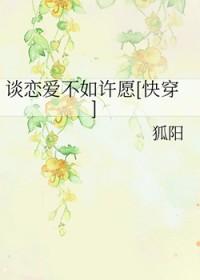 拥抱烈日的花