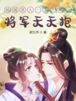 医婿叶凡最新章节完整版