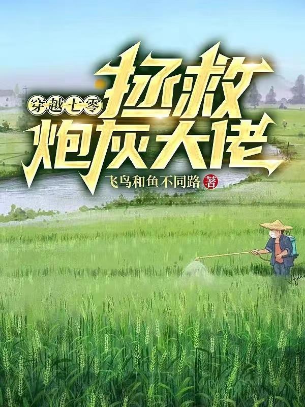 沈湖的作品重生年代好年华