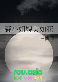 李泽言雾隐玫瑰